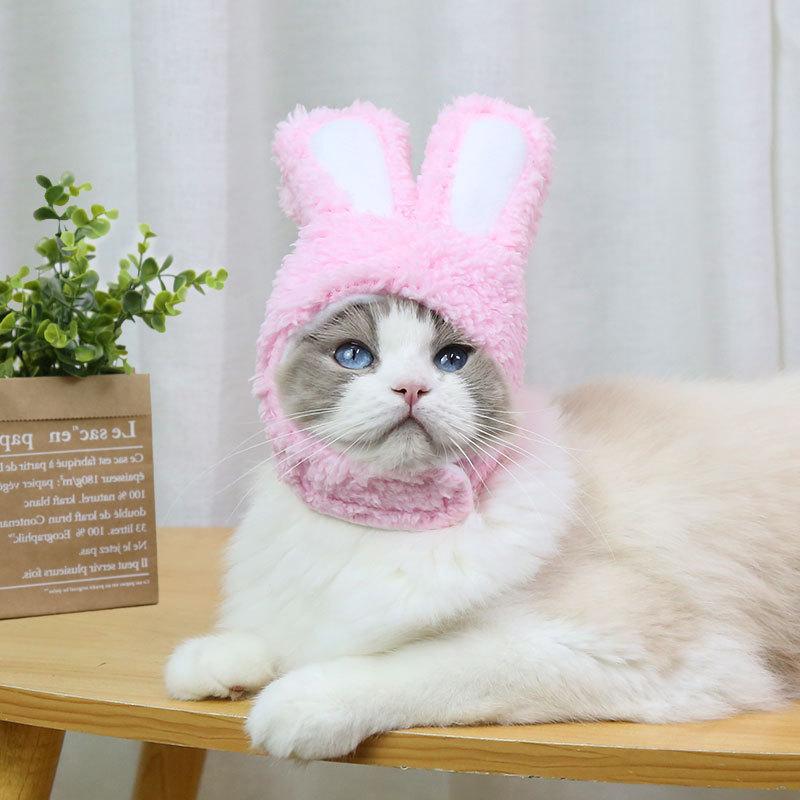 RabbitHat™ - Accessoire de déguisement pour chat - Mon Doux Félin