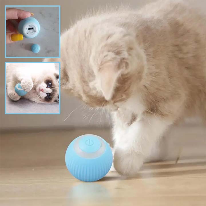 Balle interactive pour chat - Mon Doux Félin