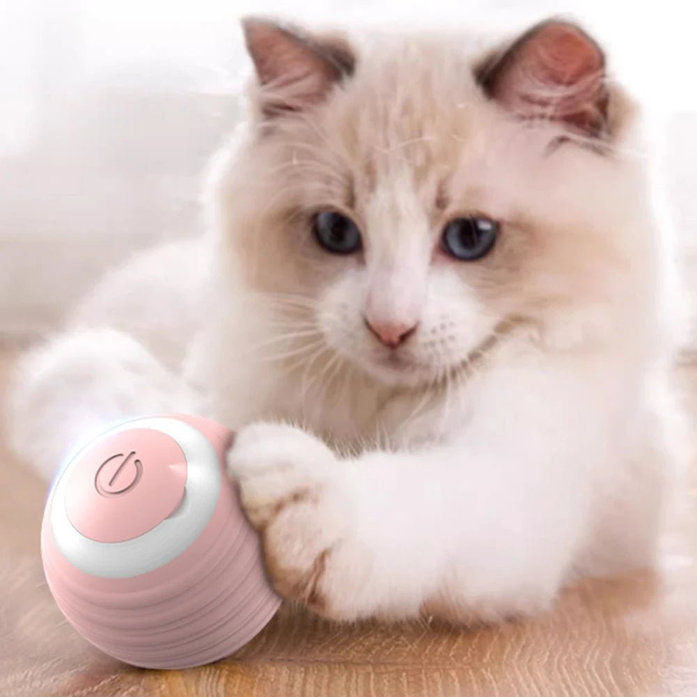 Balle interactive pour chat - Mon Doux Félin