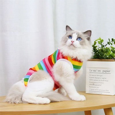 body pour chat arc en ciel