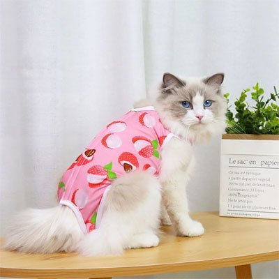 body pour chat rose