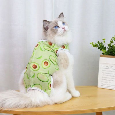 body pour chat vert