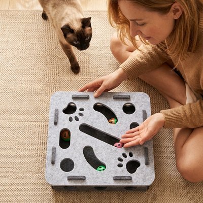 jeu pour chat amusant