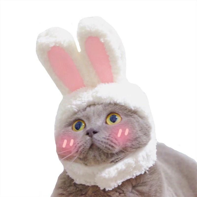 RabbitHat™ - Accessoire de déguisement pour chat - Mon Doux Félin