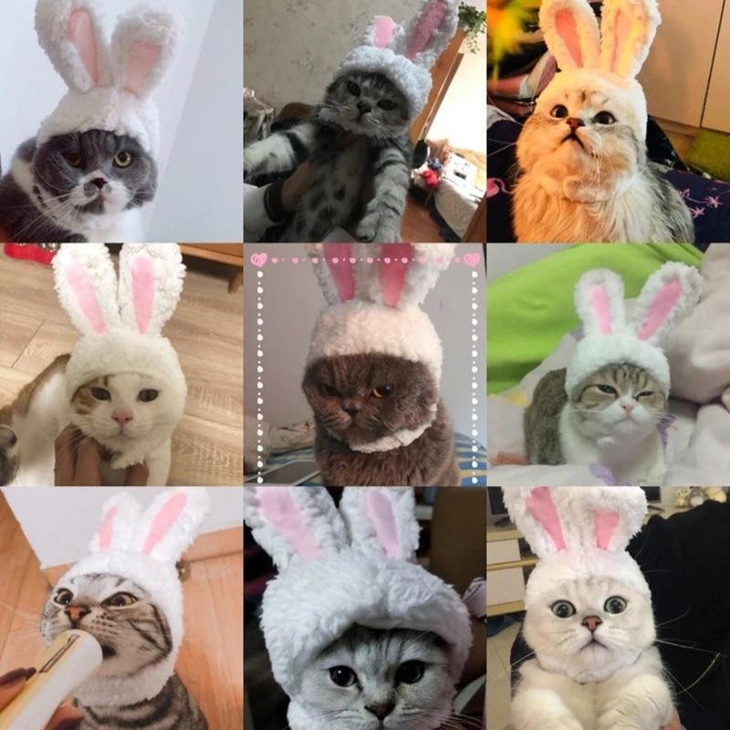 RabbitHat™ - Accessoire de déguisement pour chat - Mon Doux Félin