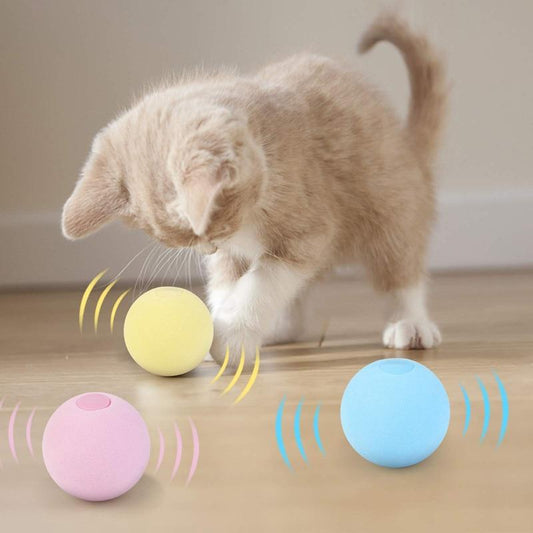 SmartBall™ - Balle intelligente d'apprentissage pour chat - Mon Doux Félin